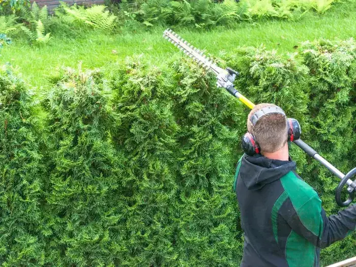 Hedge Trimming in Swansea